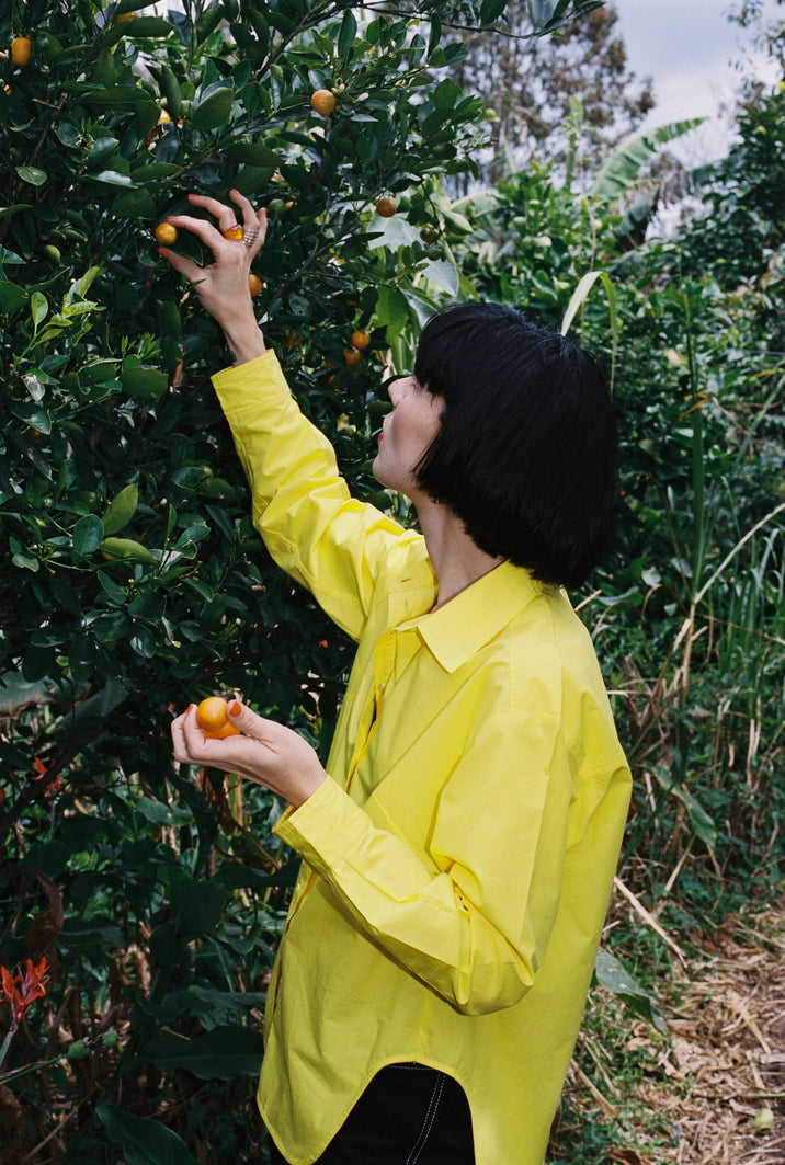 A person wearing a bright yellow button-up shirt stands in an outdoor orchard, reaching for small orange fruits on a leafy tree while holding one fruit in their hand.