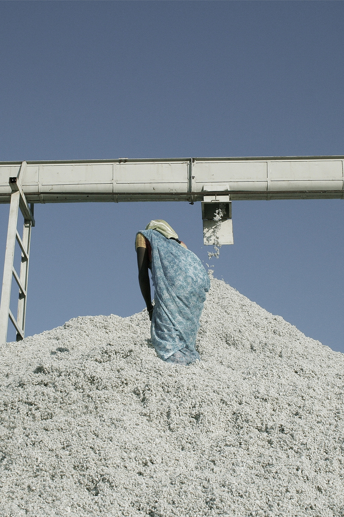 Kowtow Impact Report