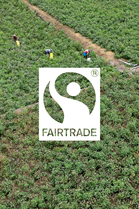 Kowtow & Fairtrade: An Eighteen Year Partnership