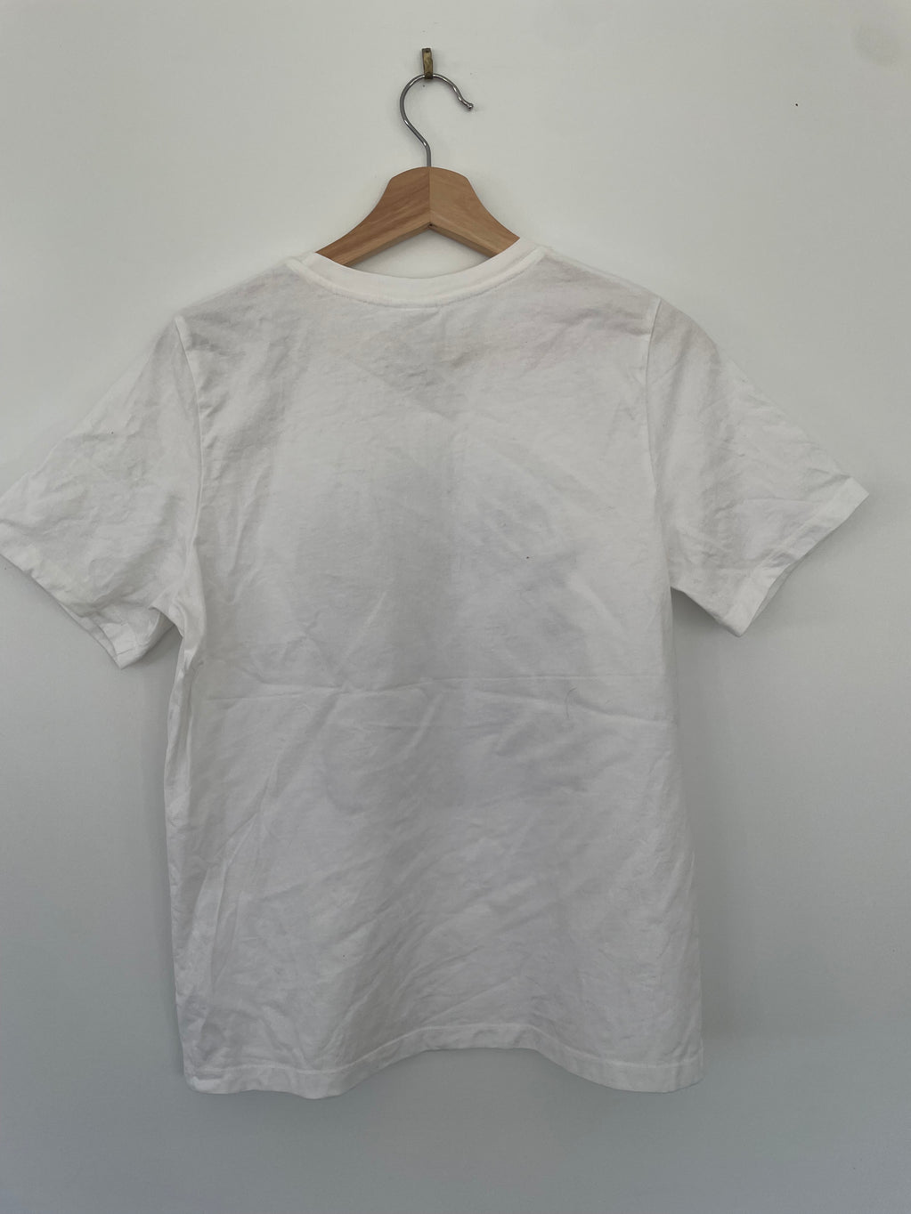 Compost Tee