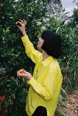 A person wearing a bright yellow button-up shirt stands in an outdoor orchard, reaching for small orange fruits on a leafy tree while holding one fruit in their hand.