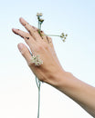 A hand with dirt on the fingers holding flowers in front of a blue sky.