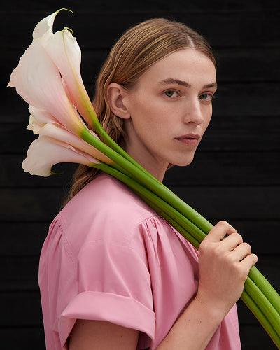 Kowtow
