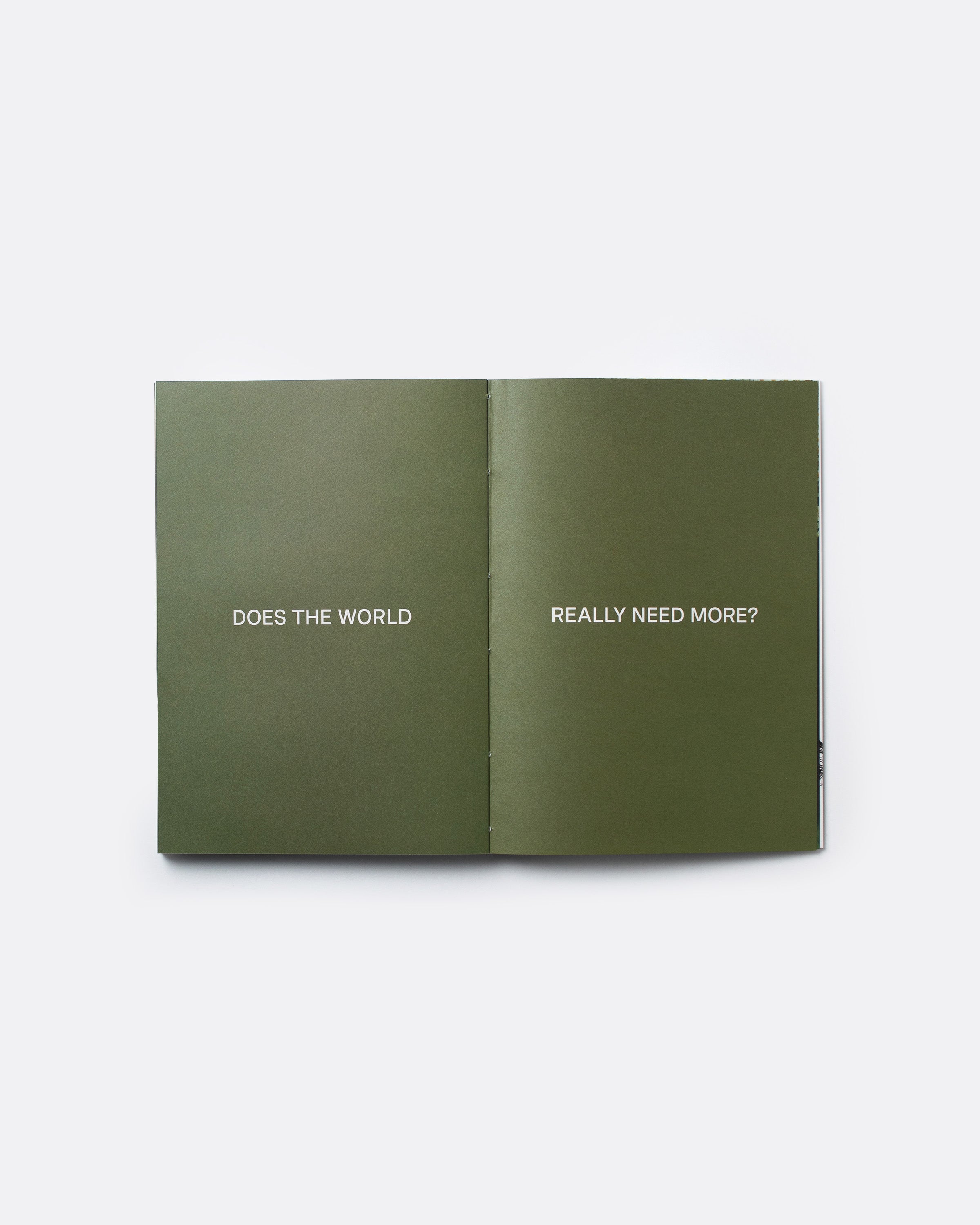 An open booklet or book spread on a light gray background, with olive green pages featuring the white text 'DOES THE WORLD' on the left page and 'REALLY NEED MORE?' on the right page.