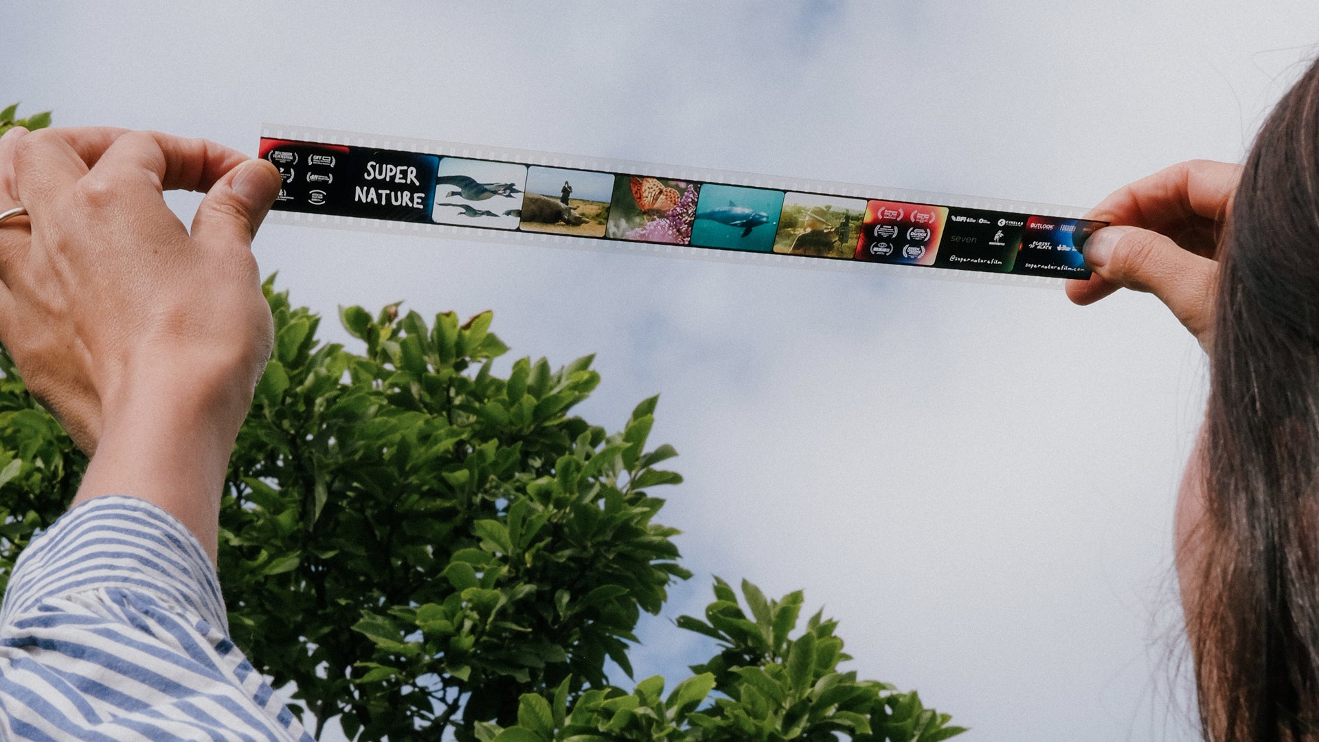 Video poster